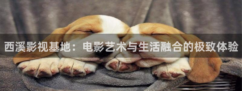 窝窝在线观看免费播放电视剧17.3：西溪影视基地：电影艺术与生活融合的极致体验