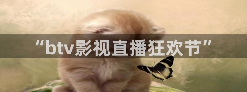 窝窝影院星辰：“btv影视直播狂欢节”