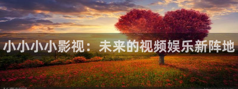 窝窝电视剧正版免费观看：小小小小影视：未来的视频娱乐新阵地