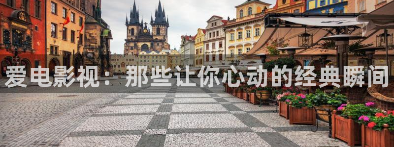 窝窝电影手机版在线