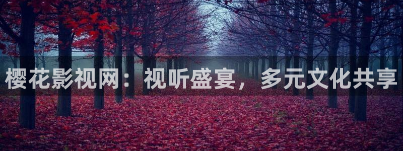 窝窝影院免费在线观看