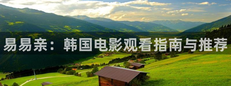 窝窝免费高清电影