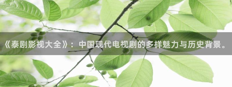 窝窝在线电影电视剧