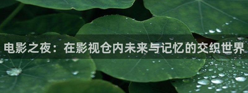 窝窝在线观看免费播放电视剧大全最