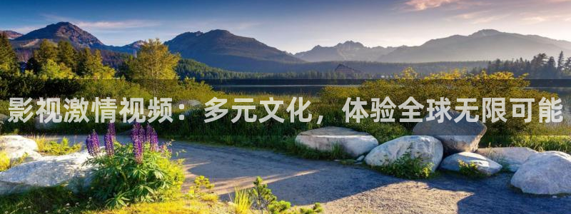 窝窝影视
