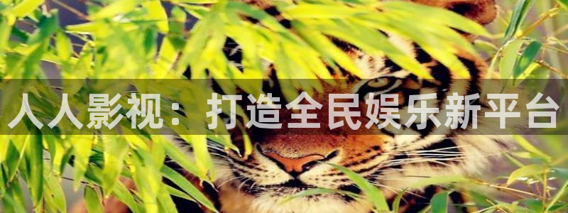 窝窝影院在线观看播放电视剧：人人影视：打造全民娱乐新平台