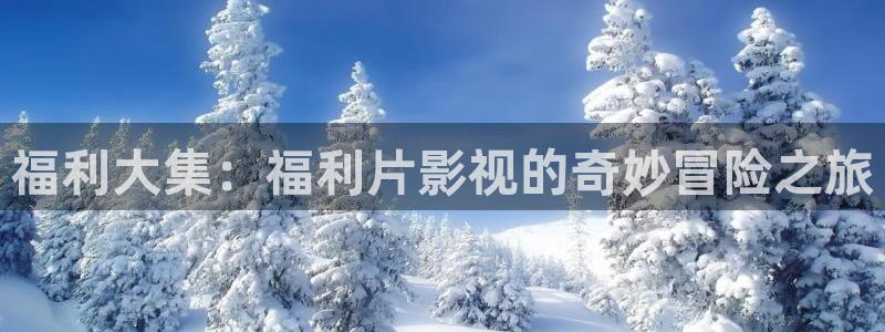 窝窝电影完整版免费：福利大集：福利片影视的奇妙冒险之旅