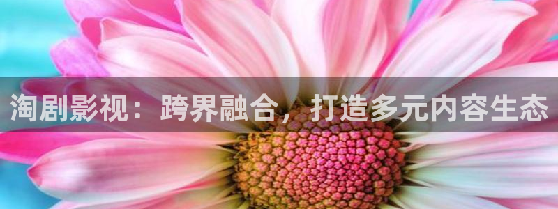 鲁鲁影院免费观看电视剧电影窝窝：淘剧影视：跨界融合，打造多元内容生态